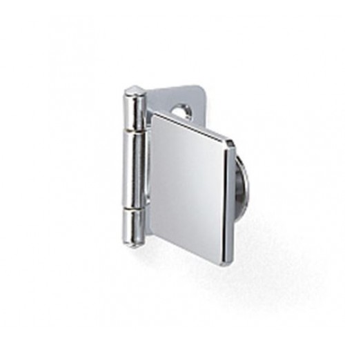 Inset Glass Door Hinge